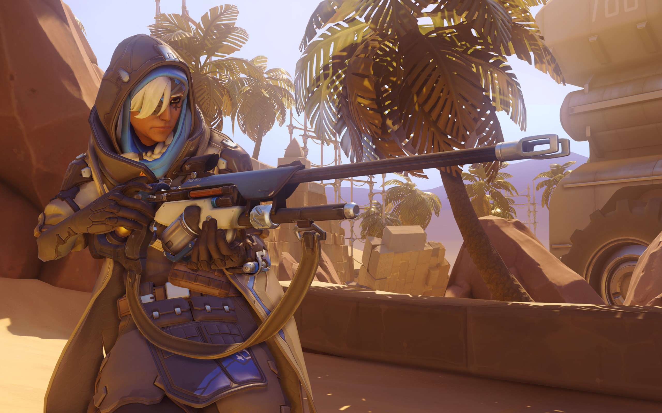Overwatch Ana