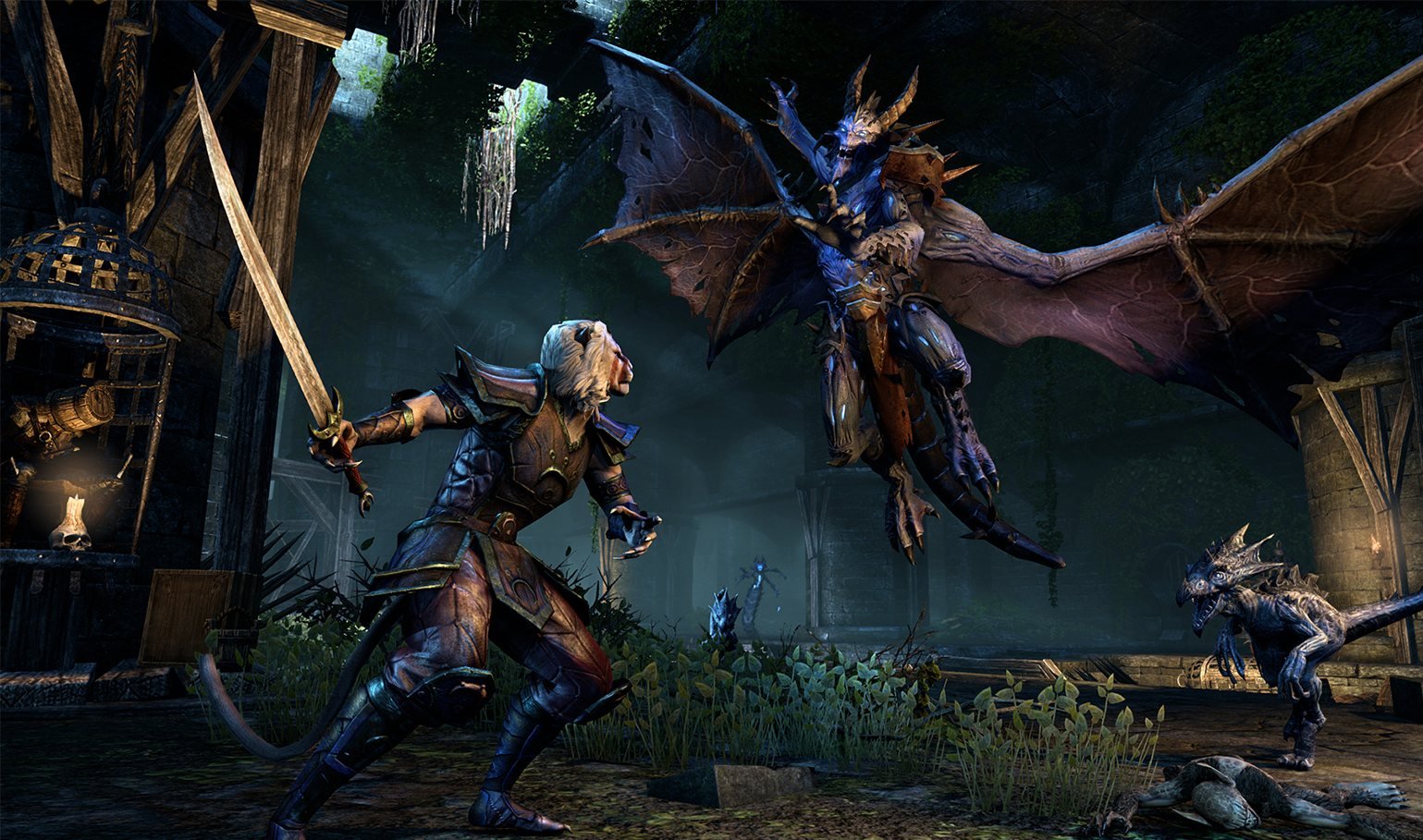 Elder Scrolls Online, ESO